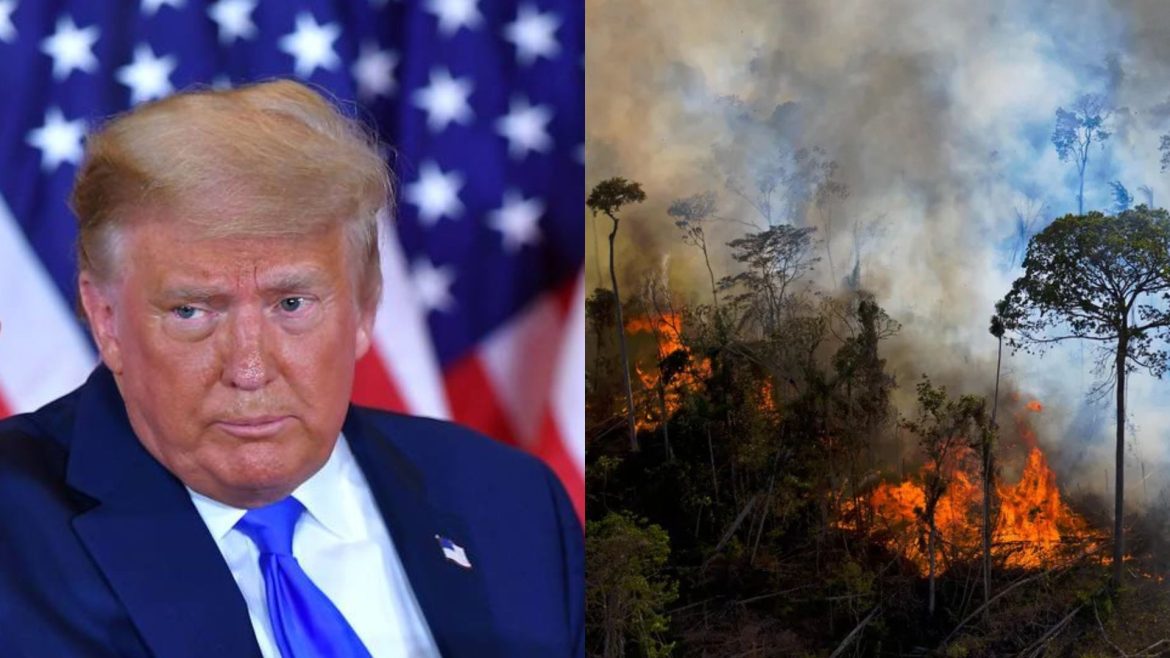 Trump suspende parceria EUA-Brasil financiada pela USAID e afeta combate a incêndios florestais
