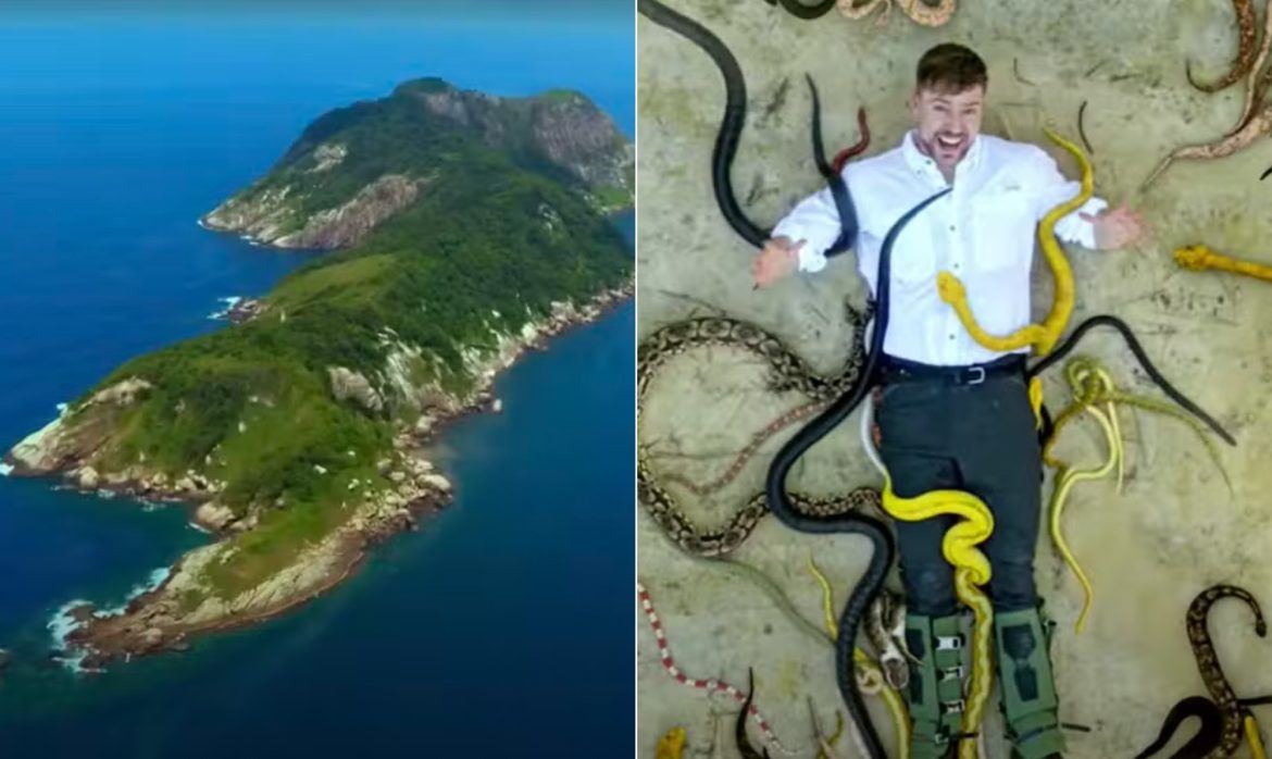 Ilha das Cobras: conheça local em São Paulo eleito o mais mortal do mundo pelo youtuber MrBeast